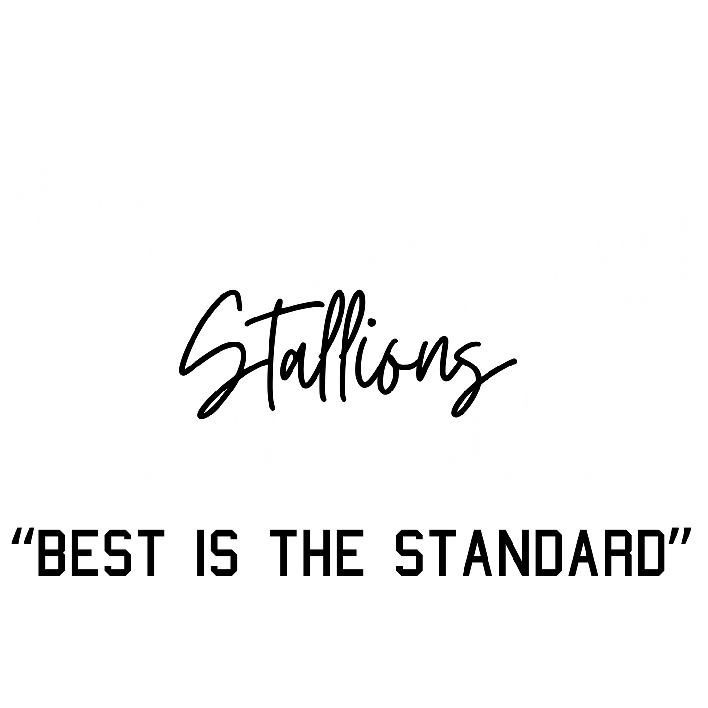 West Orange Stark Middle School Stallion Sweatshirt